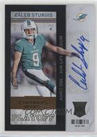 Caleb Sturgis #/99