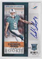 Caleb Sturgis