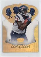 Arian Foster #/25