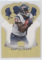 Arian Foster #/25