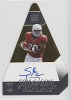 Stepfan Taylor #/25