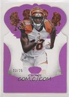 A.J. Green #/25