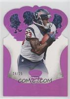 Arian Foster #/25