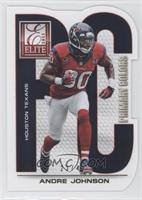 Andre Johnson #/49