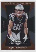 Danny Amendola #/399