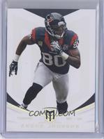 Andre Johnson #/49