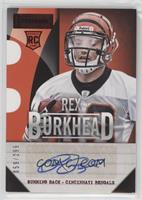 Rex Burkhead #/299