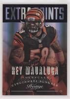 Rey Maualuga #/100