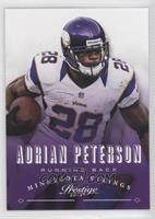 Adrian Peterson