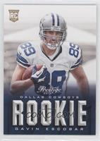 Rookie - Gavin Escobar