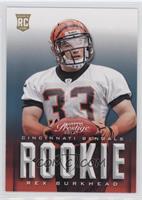 Rookie - Rex Burkhead