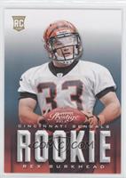 Rookie - Rex Burkhead