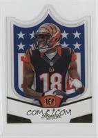 A.J. Green