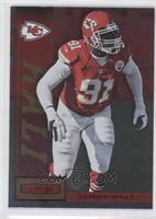 Tamba Hali