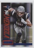 Danny Amendola #/25