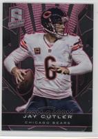 Jay Cutler