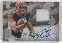 Rookie - Tyler Eifert [EX to NM] #/99