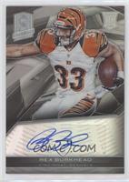 Rookie Autographs - Rex Burkhead #/299