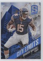 Brandon Marshall #/49