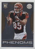 Freshman Phenoms - Tyler Eifert #/25