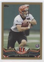 Rex Burkhead #/2,013