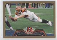 Andy Dalton #/2,013