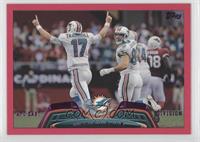 Team Leaders - Miami Dolphins Team #/399