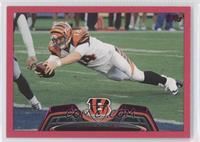 Andy Dalton #/399