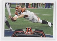 Andy Dalton