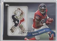 Andre Johnson