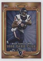 Andre Johnson