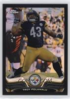 Troy Polamalu #/299