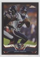 Arian Foster #/299