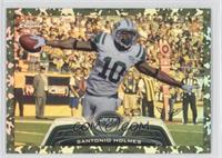 Santonio Holmes #/499