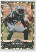 Antonio Cromartie #/499