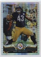 Troy Polamalu #/260