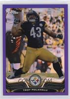 Troy Polamalu #/499