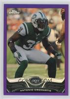 Antonio Cromartie #/499