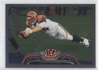 Andy Dalton