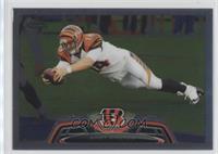 Andy Dalton