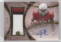 Rookie Patch Autograph - Stepfan Taylor #/55