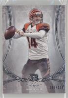 Andy Dalton #/208