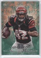 BenJarvus Green-Ellis #/199