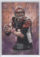 Andy Dalton #/95