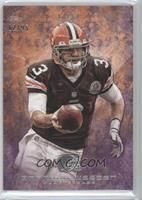 Brandon Weeden #/95