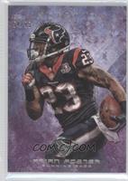 Arian Foster #/95