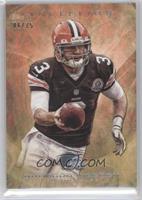 Brandon Weeden #/75