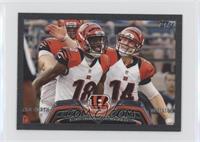 Team Leaders - Cincinnati Bengals Team #/5