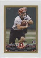 Rex Burkhead #/58