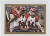 Team Leaders - Cincinnati Bengals Team #/58